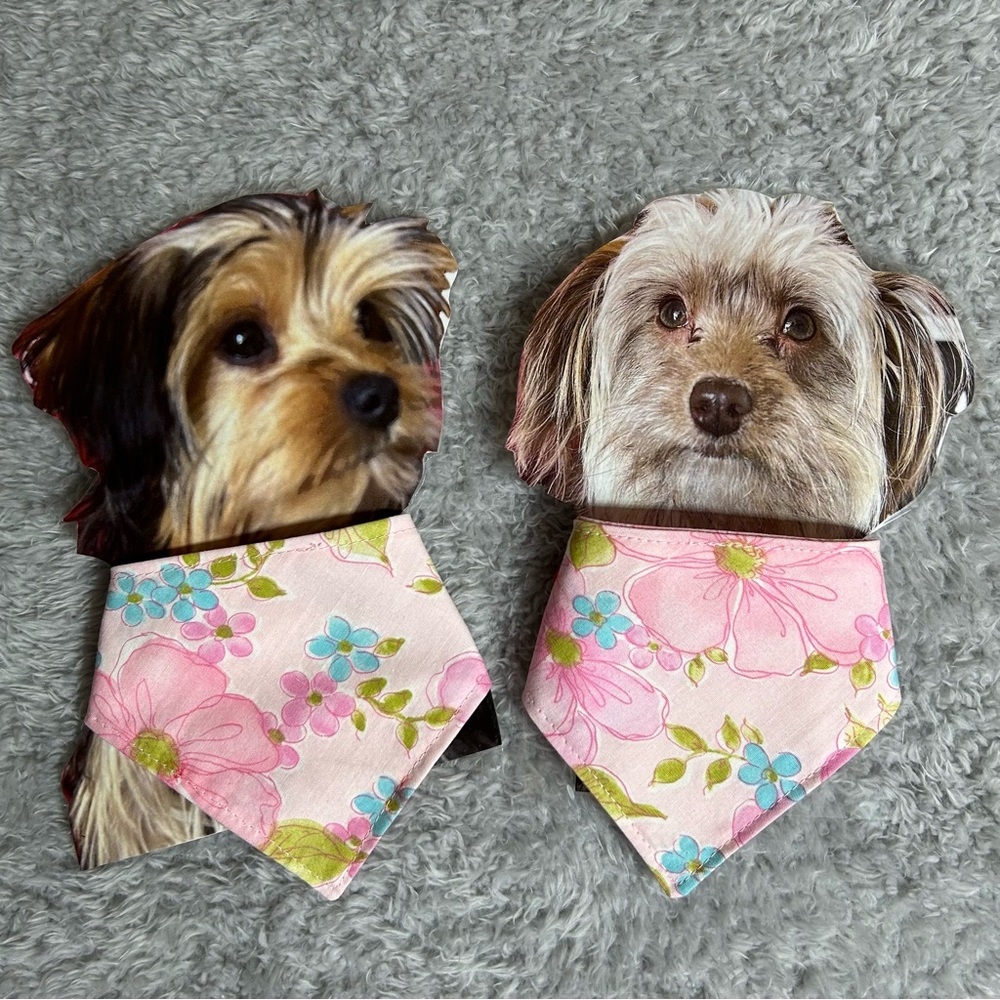 Floral Pink snap on Bandana scarf for dag cat